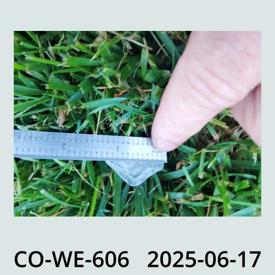 Hail Obs Photo