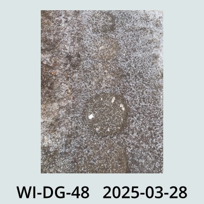 Hail Obs Photo