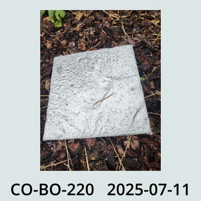 Hail Obs Photo