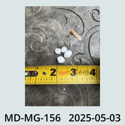 Hail Obs Photo