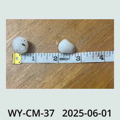 Hail Obs Photo