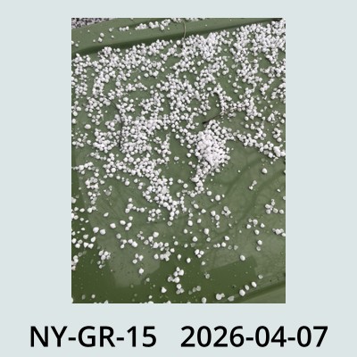 Hail Obs Photo