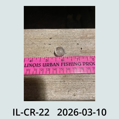 Hail Obs Photo
