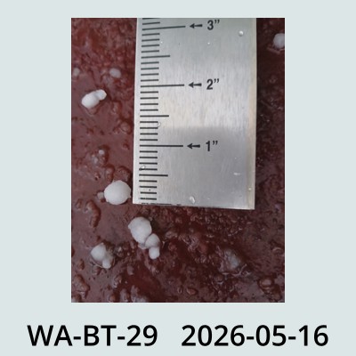 Hail Obs Photo