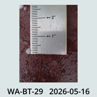 Hail Obs Photo
