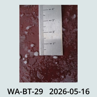 Hail Obs Photo