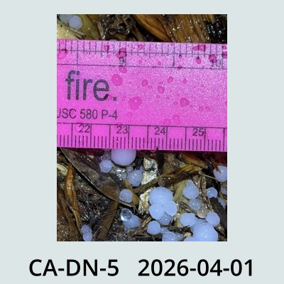 Hail Obs Photo