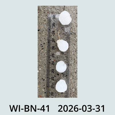 Hail Obs Photo