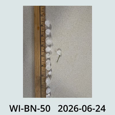 Hail Obs Photo