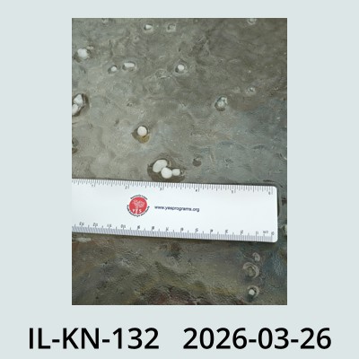 Hail Obs Photo