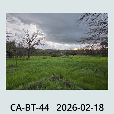 Hail Obs Photo