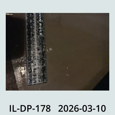 Hail Obs Photo
