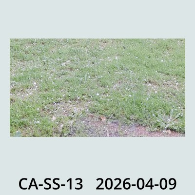 Hail Obs Photo
