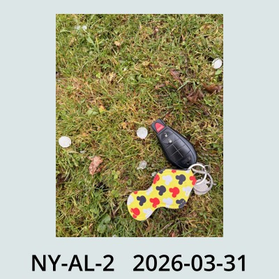 Hail Obs Photo