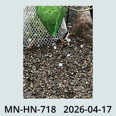 Hail Obs Photo