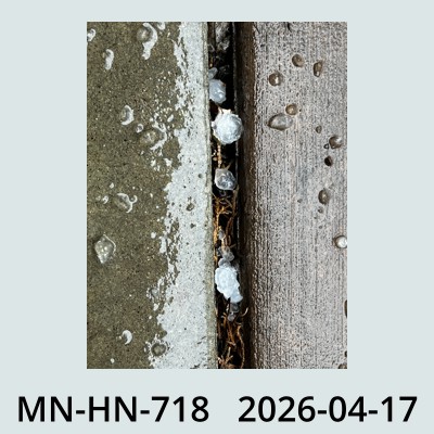Hail Obs Photo
