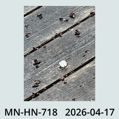 Hail Obs Photo