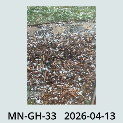 Hail Obs Photo