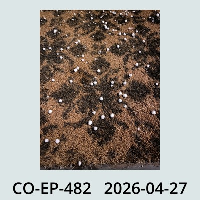 Hail Obs Photo