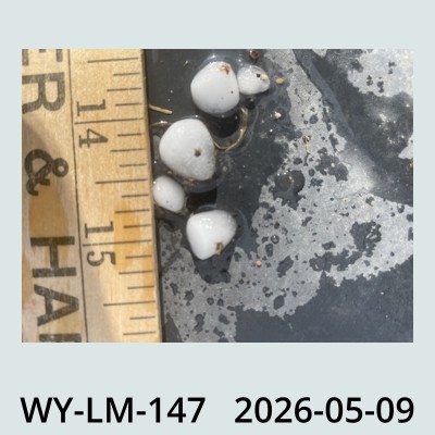 Hail Obs Photo