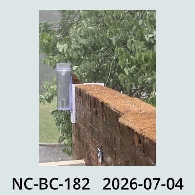 Hail Obs Photo