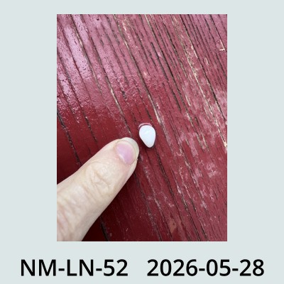Hail Obs Photo
