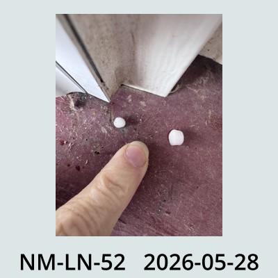 Hail Obs Photo