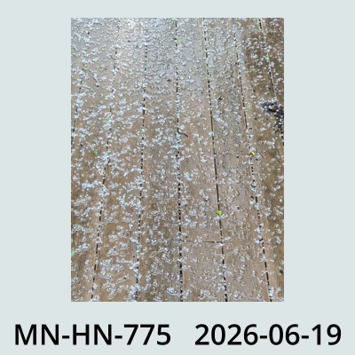 Hail Obs Photo
