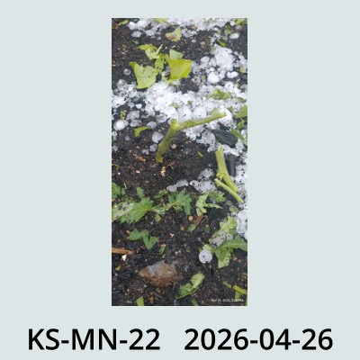 Hail Obs Photo