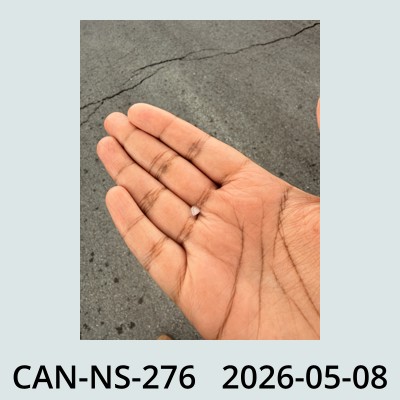 Hail Obs Photo