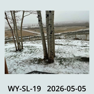 Hail Obs Photo