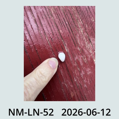 Hail Obs Photo