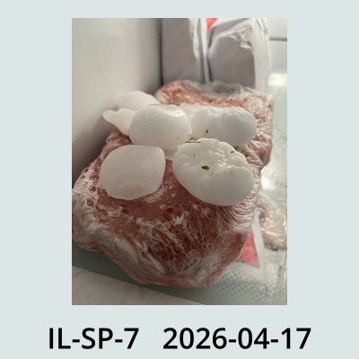 Hail Obs Photo