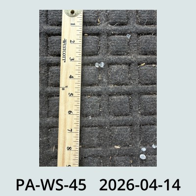 Hail Obs Photo