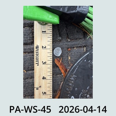 Hail Obs Photo