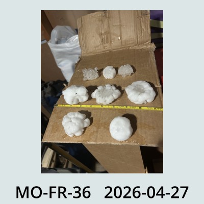 Hail Obs Photo