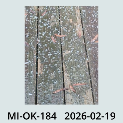 Hail Obs Photo