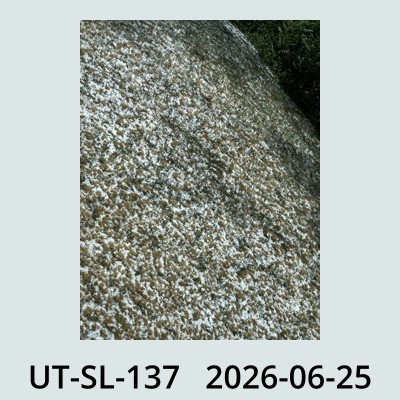 Hail Obs Photo