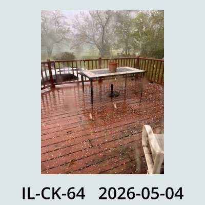 Hail Obs Photo