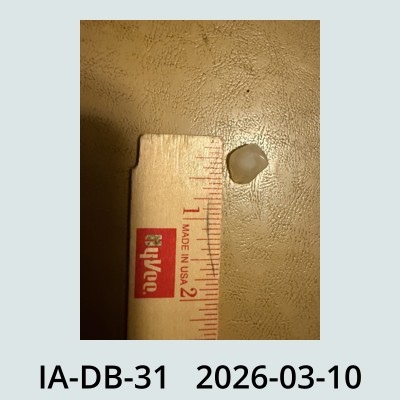 Hail Obs Photo