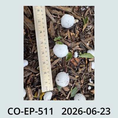 Hail Obs Photo