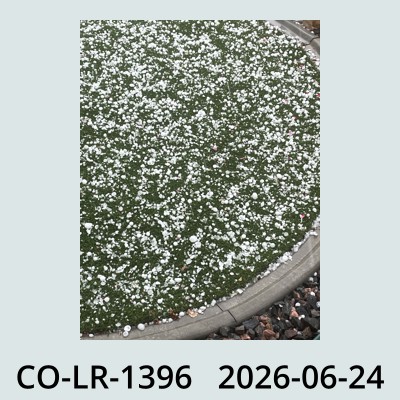 Hail Obs Photo