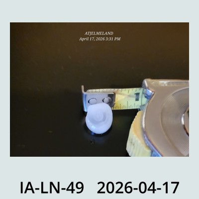 Hail Obs Photo