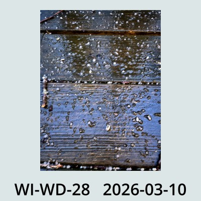 Hail Obs Photo
