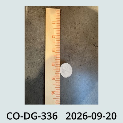 Hail Obs Photo