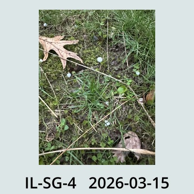 Hail Obs Photo