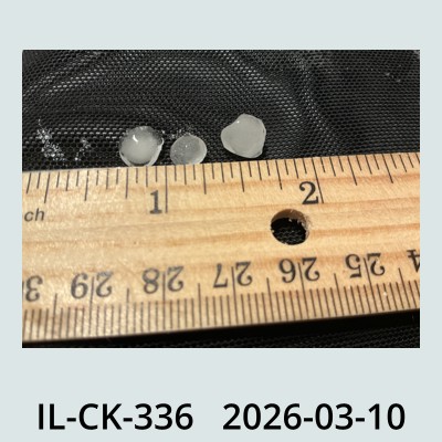 Hail Obs Photo