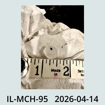 Hail Obs Photo