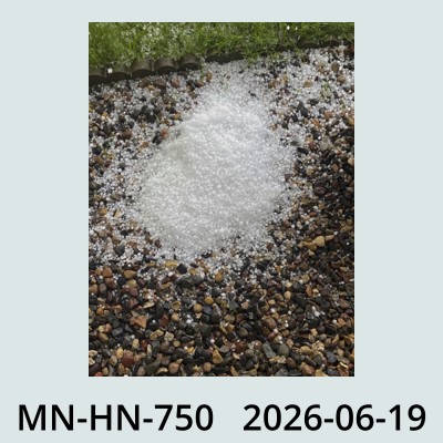 Hail Obs Photo