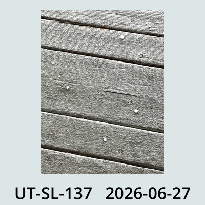 Hail Obs Photo